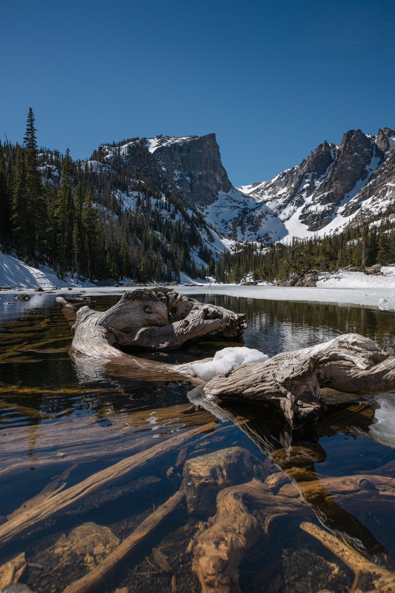 Driftwood and meltwater, Dream Lake — Rocky Mountain, Colorado